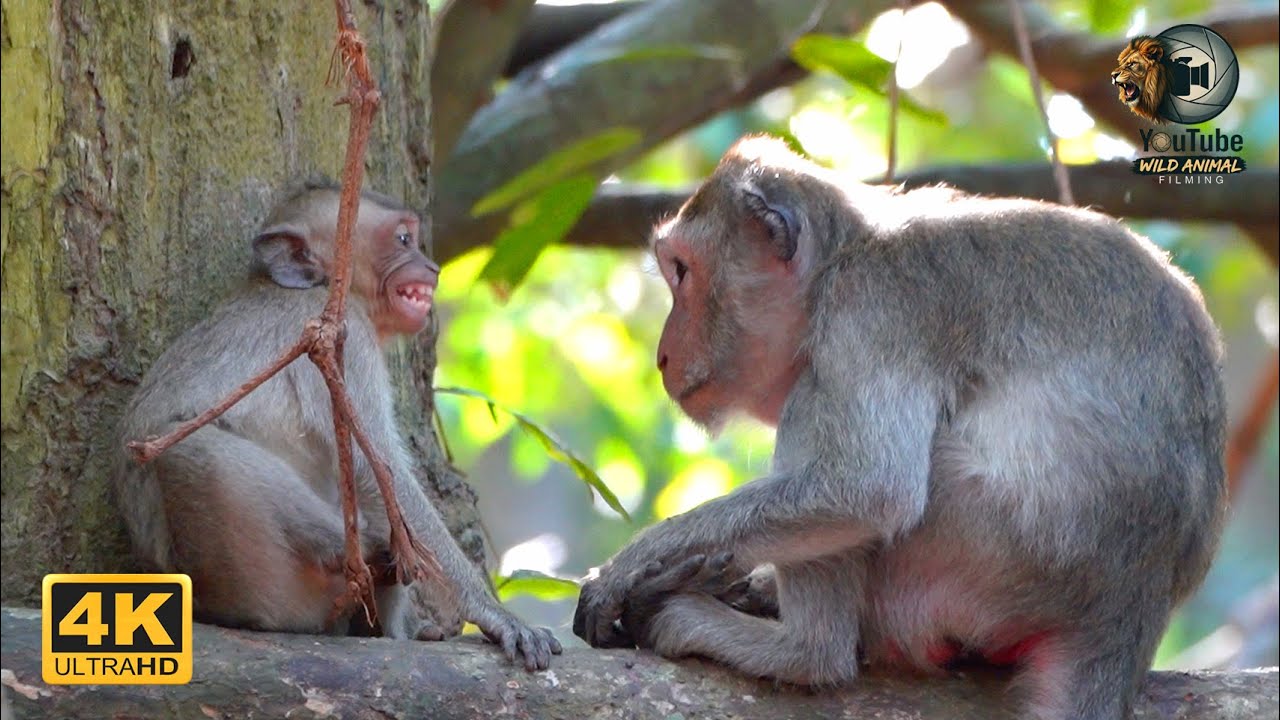 JADE'S Milk A Mother's Last Gift | Full Doacumentary