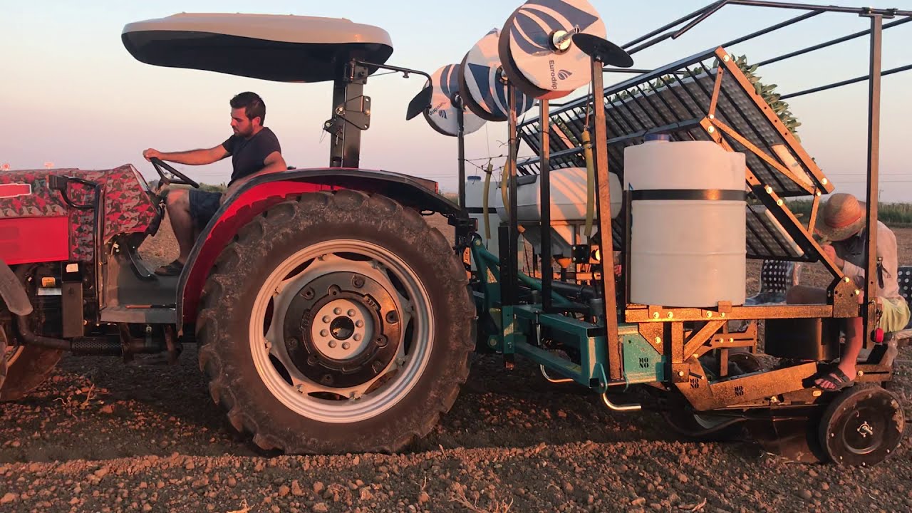 DOMATES DİKME MAKİNESİ (TOMATO TRANSPLANTER)