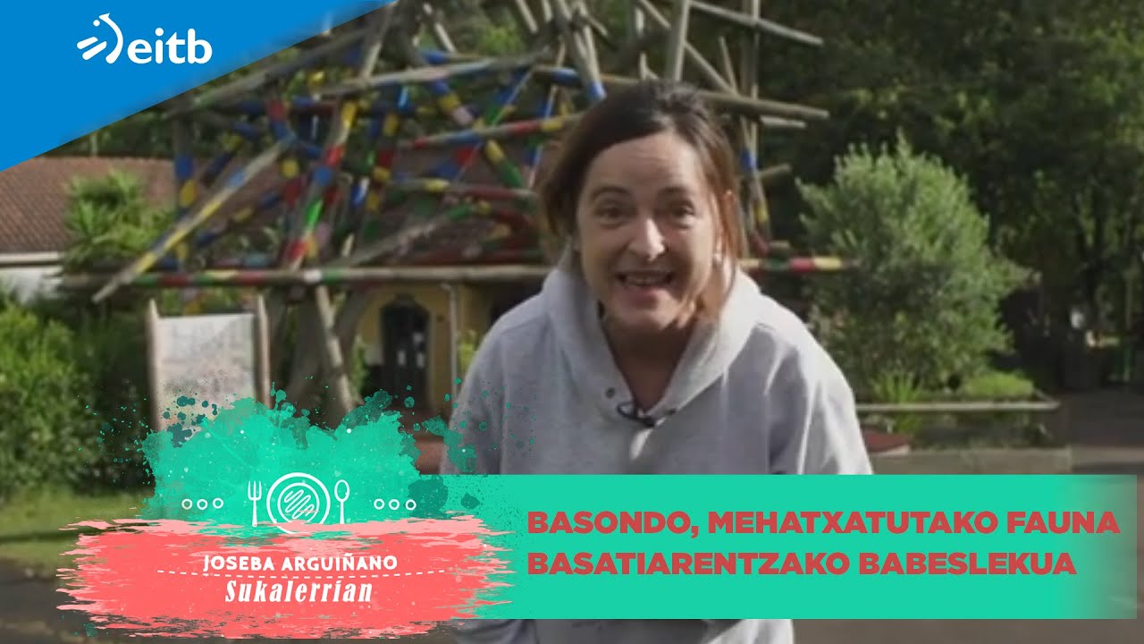 Basondo, mehatxatutako fauna basatiarentzako babeslekua Kortezubin