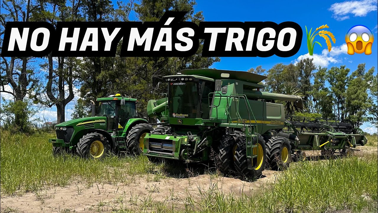 FIN DE CAMPAÑA: UN FINAL QUE NO ME ESPERABA 👀