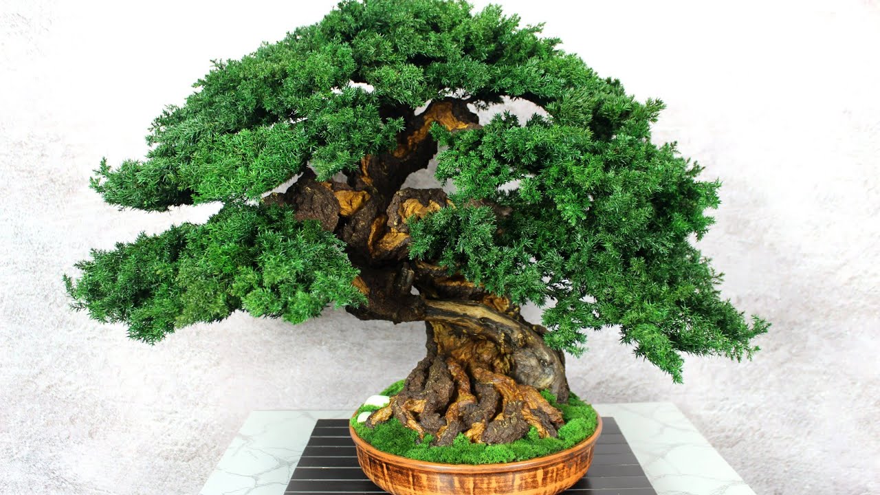 Artifical Bonsai tree made from preserved juniper and moss. 20,08