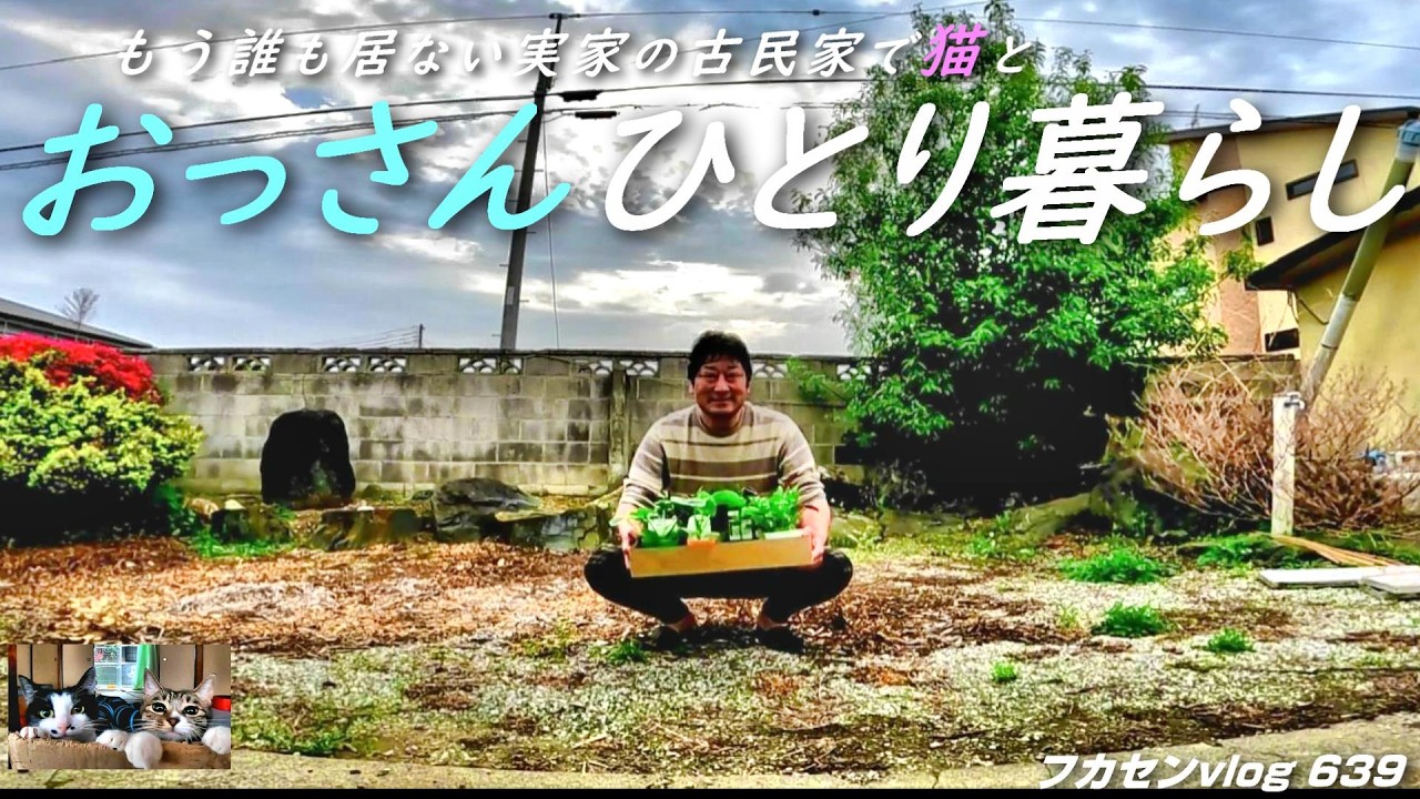 野菜の苗をたくさん買ってみた／庭で畑づくり【第639話】物価が高すぎて半自給自足生活を始める