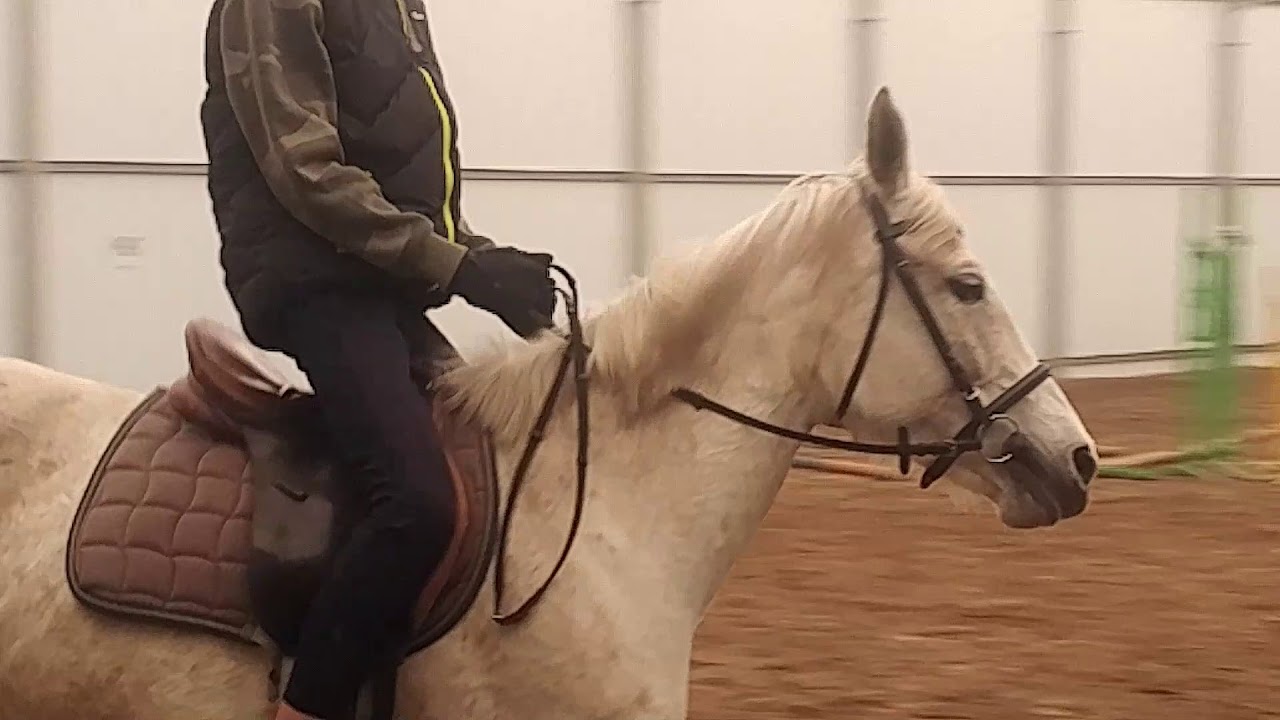 Jazda konna #4