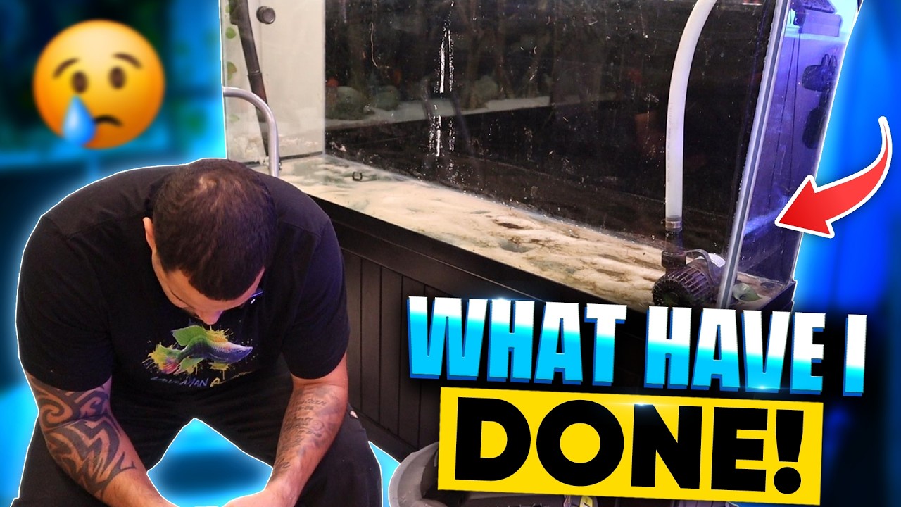 My 150 Gallon Aquarium Needed This HUGE Change!