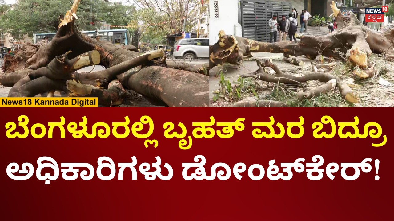 Bigg Tree Fell Down In Indiranagar Bangalore | ಇಂದಿರಾನಗರದಲ್ಲಿ ಬೃಹತ್ ಮರ ಬಿದ್ದು ಅವಾಂತರ | N18V