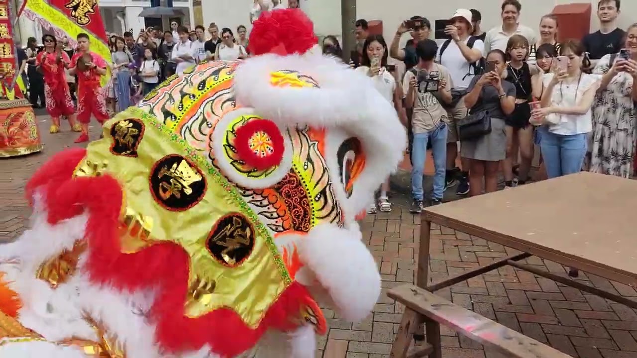 (24/8) Tian Eng Dragon and Lion Dance Centre Traditional Lion Dance Performance at Pagoda Street