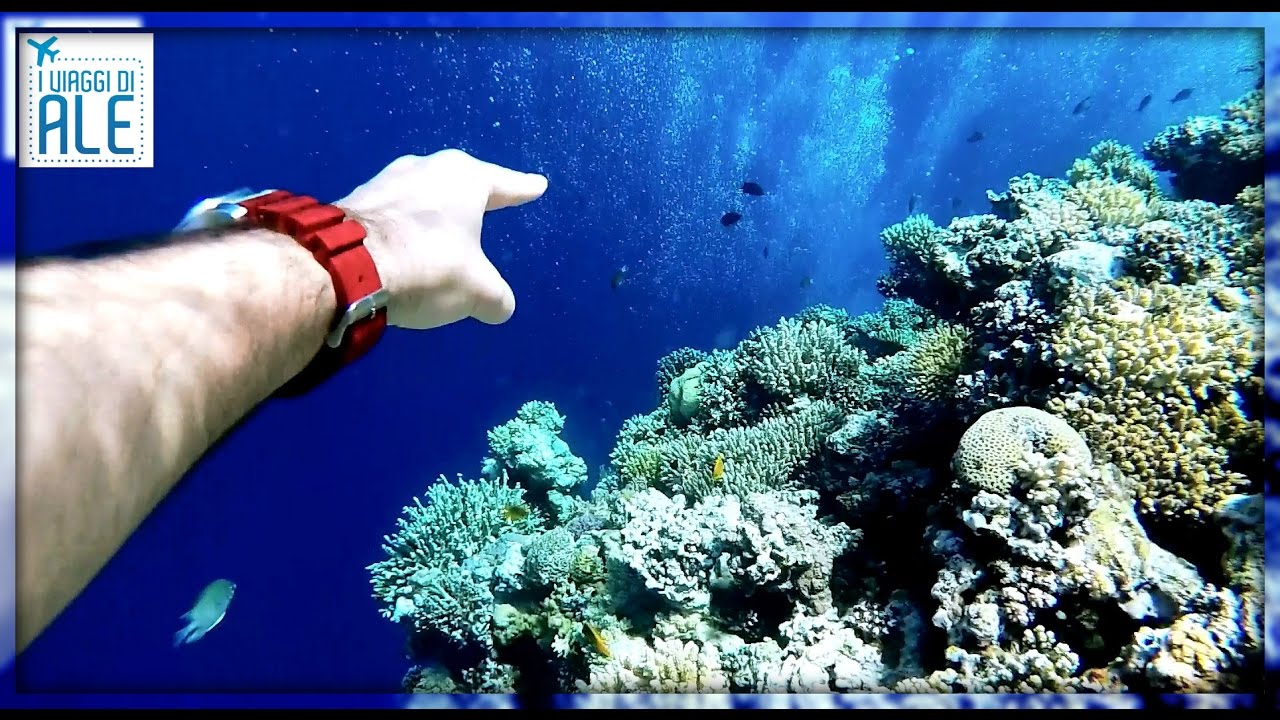 Sharm El Sheikh / EGYPT / EGITTO Cairo documentario GoPro adventure - Cool Life by Alessandro Marras