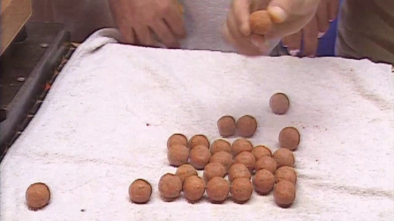 Pêche de A à Z : Bouillettes fabrication maison (Pêche de la carpe)