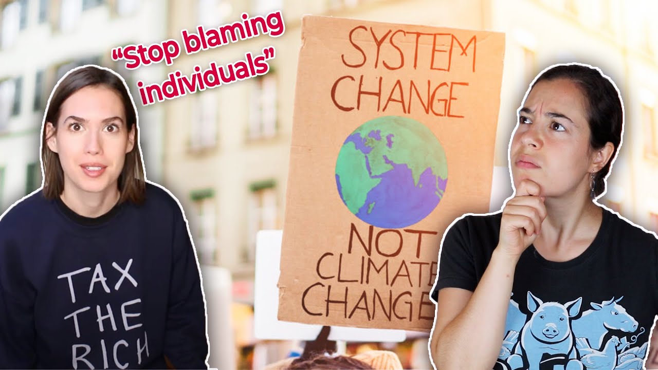 Is individual or institutional change better? (Effective vegan activism w/Catherine Klein)