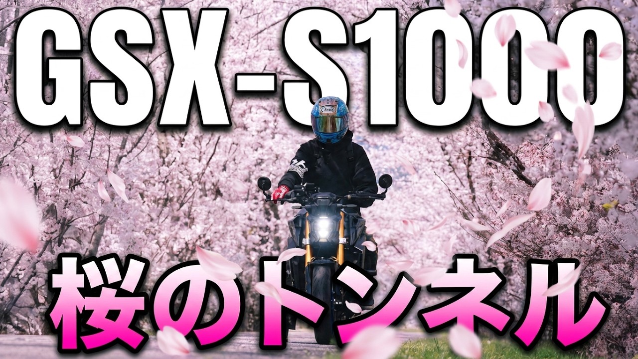 【GSX-S1000】バイクで桜のトンネル写真を撮りに