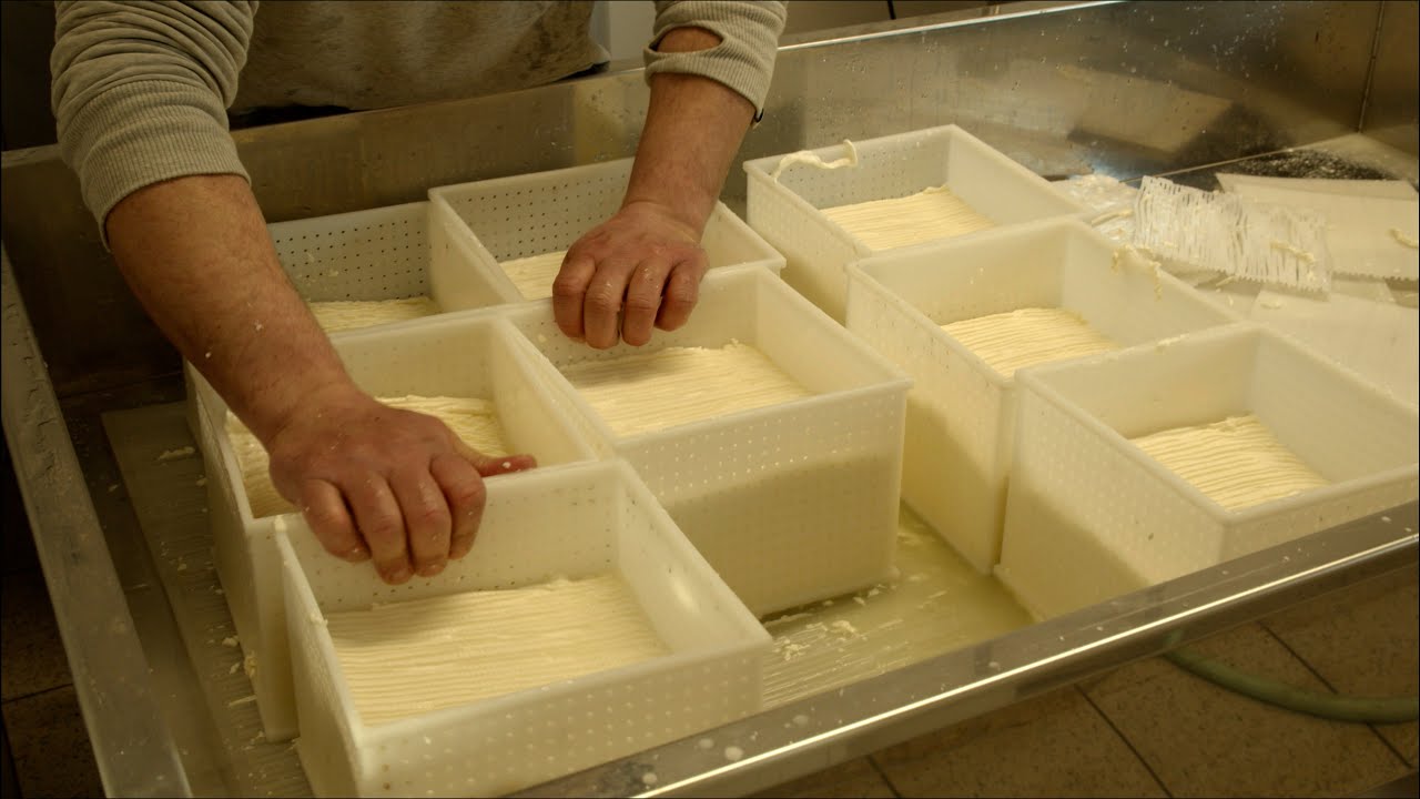 Saper di Buono - Per/corso di cultura gastronomica | Il Formaggio