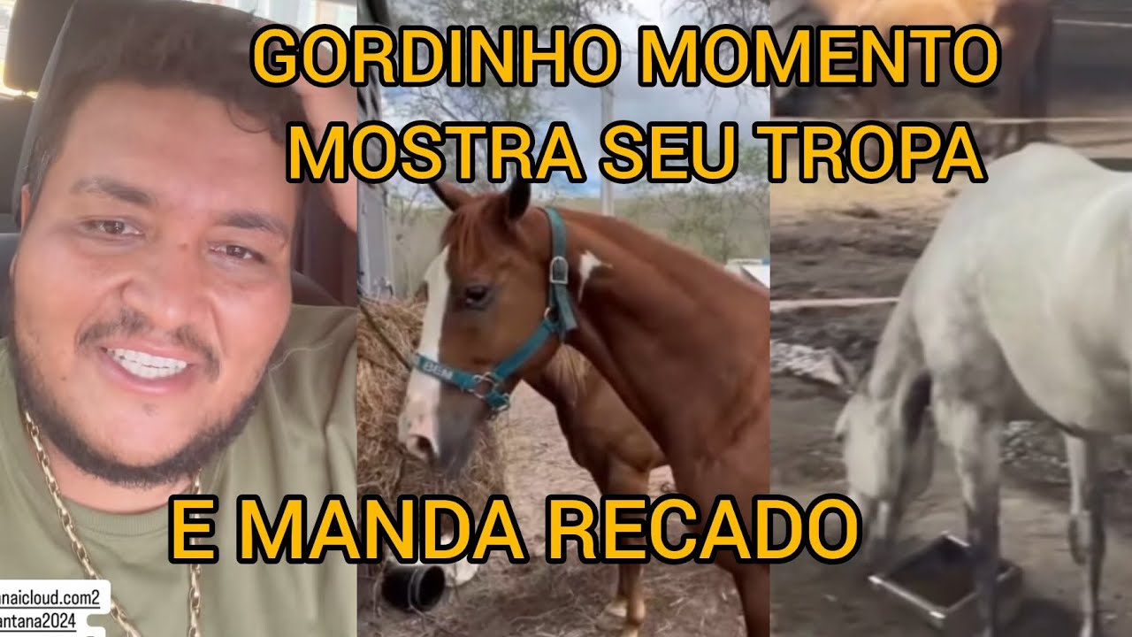 GORDINHO MOMENTO MOSTRA SEUS ANIMAIS E MANDA RECADO 