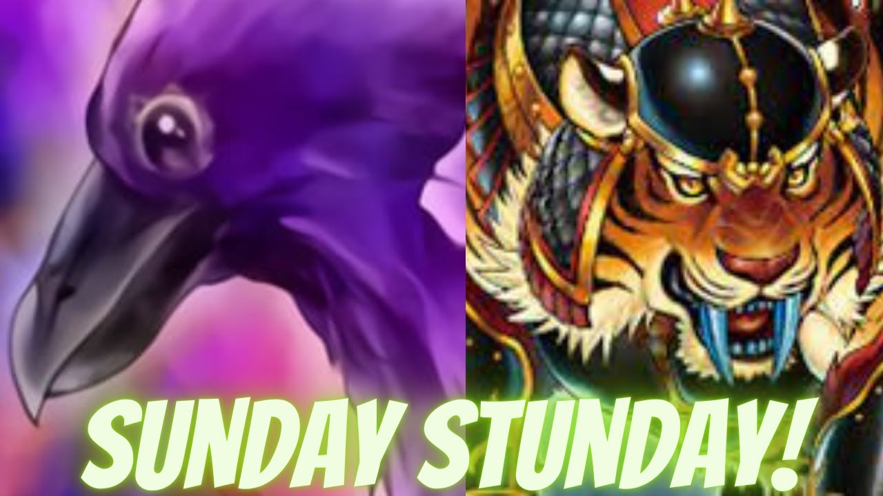 Playing The Yata Garasu Tiger Stun Deck Yugioh Master Duel Sunday Stunday Spectacular