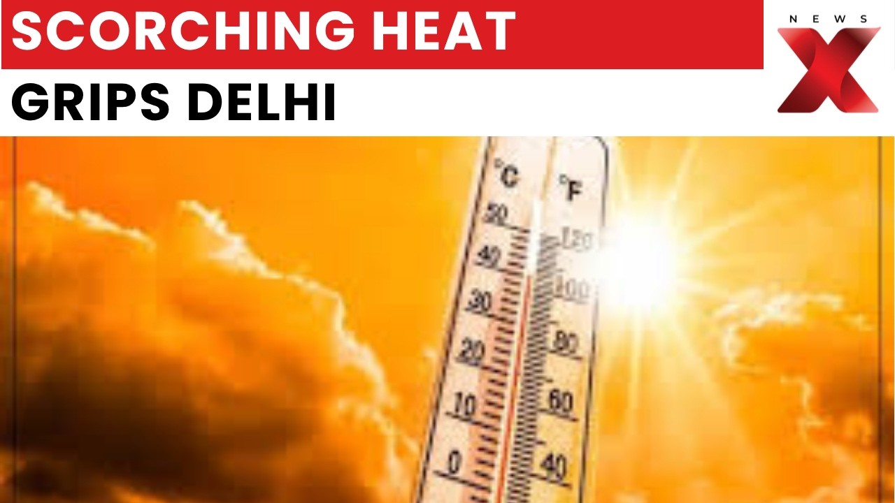 Delhi Heatwave Alert: Mercury Crosses 44&deg;C, IMD Issues Yellow Warning | NewsX