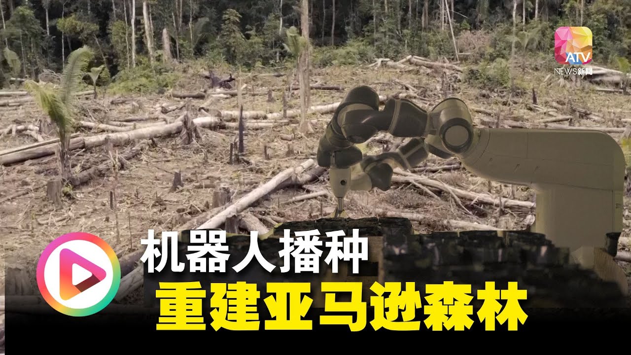 亚马逊&ldquo;秃头&rdquo;&nbsp; 秘鲁靠机器人植林