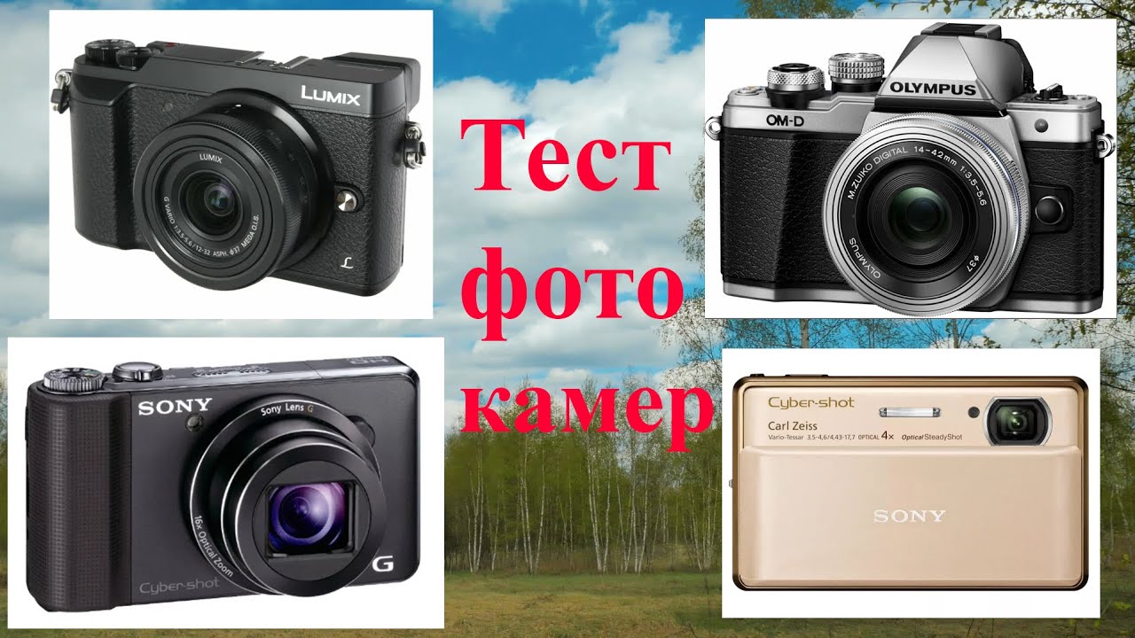 Тест фотокамер для съемок на природе. Сравнение 5 фотоаппаратов с примерами. Olympus-Panasonic-Sony
