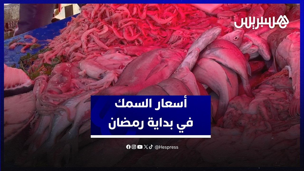مع بداية رمضان.. أسعار السمك تشتعل والمجمد ملاذ المستهلكين بأسعار مناسبة