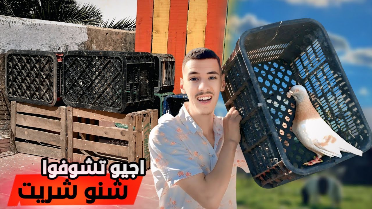 شريت من عند عبدالله الكوربات باش نبني سجنة 💪 | ها كيفاش غادي نبني سجنة المبتدئين 🔥