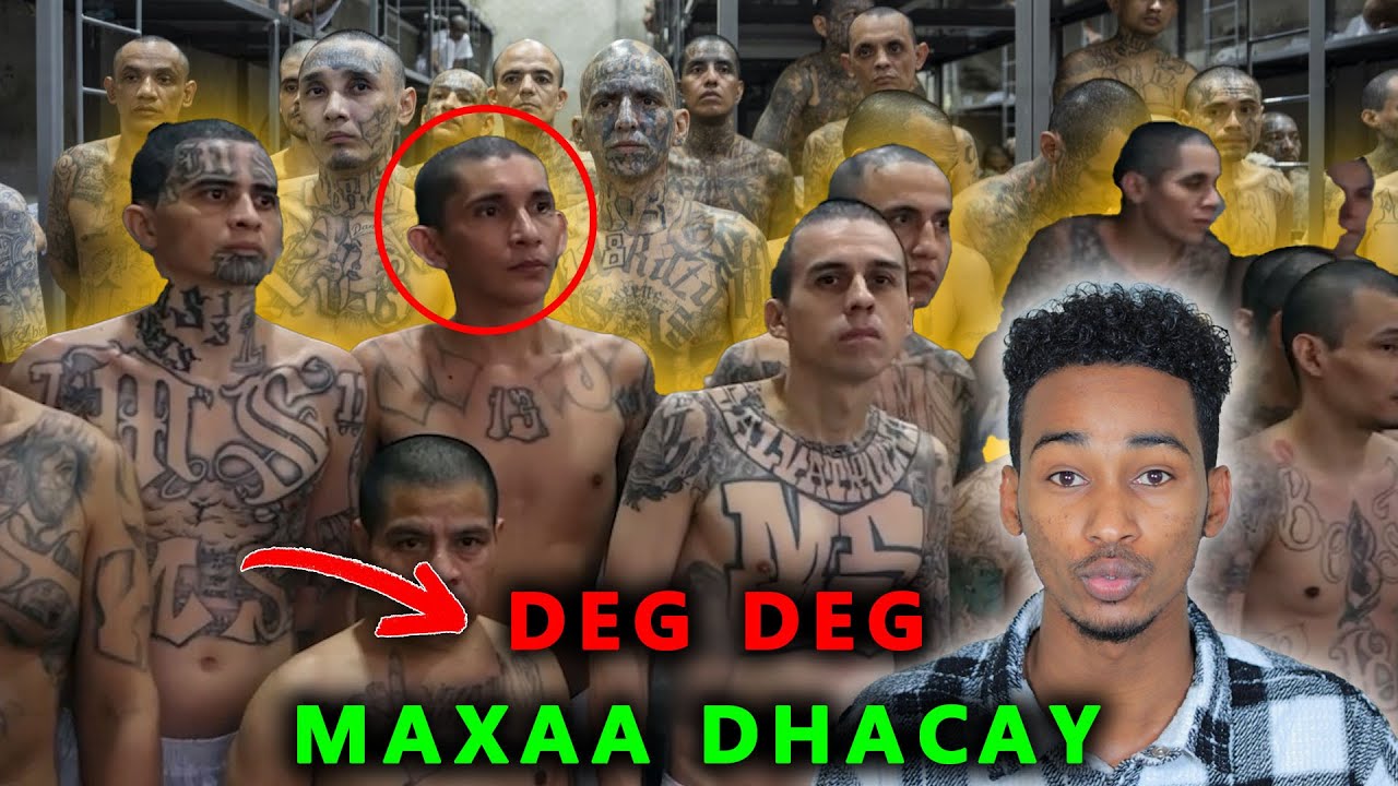 Maafiyada Xabsiga CECOT maxaa Ka Cusub .