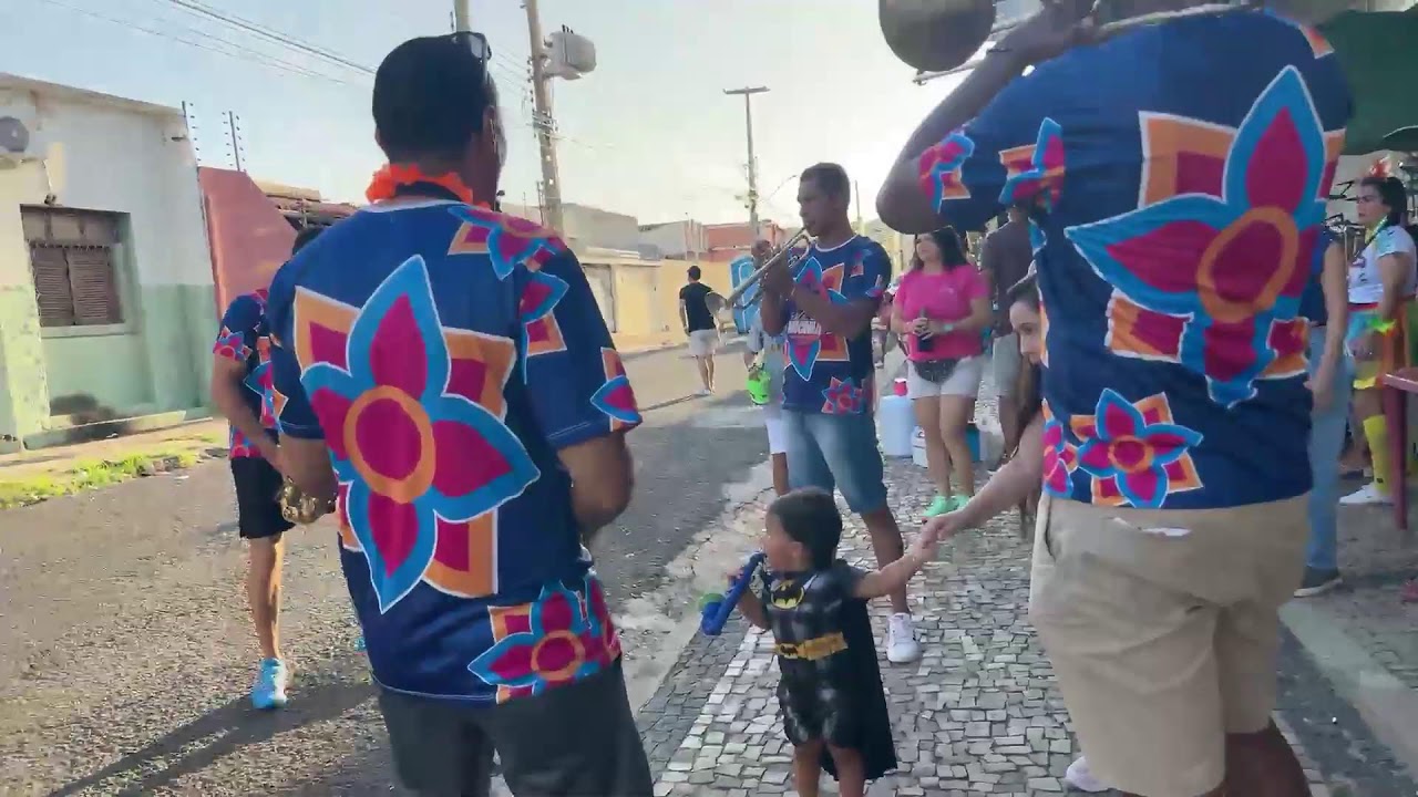 Carnaval Solid&aacute;rio