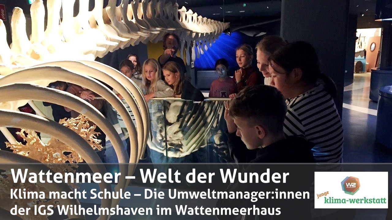 Wattenmeer – Welt der Wunder | junge klima-werkstatt
