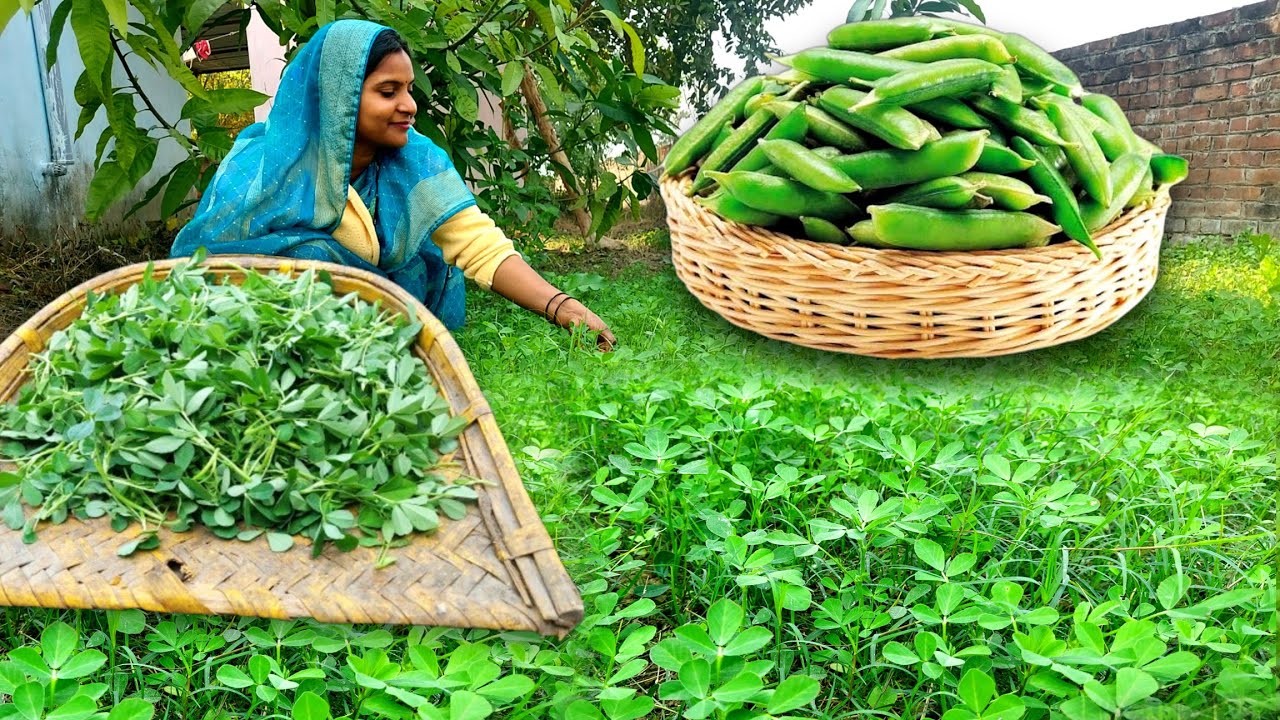 🌱मेथी भर भर खरीद कर खाओगे अगर एक बार ये मेथी मटर की सब्जी बनाकर खा लोगे Methi Matar Ki Sabji Recipe