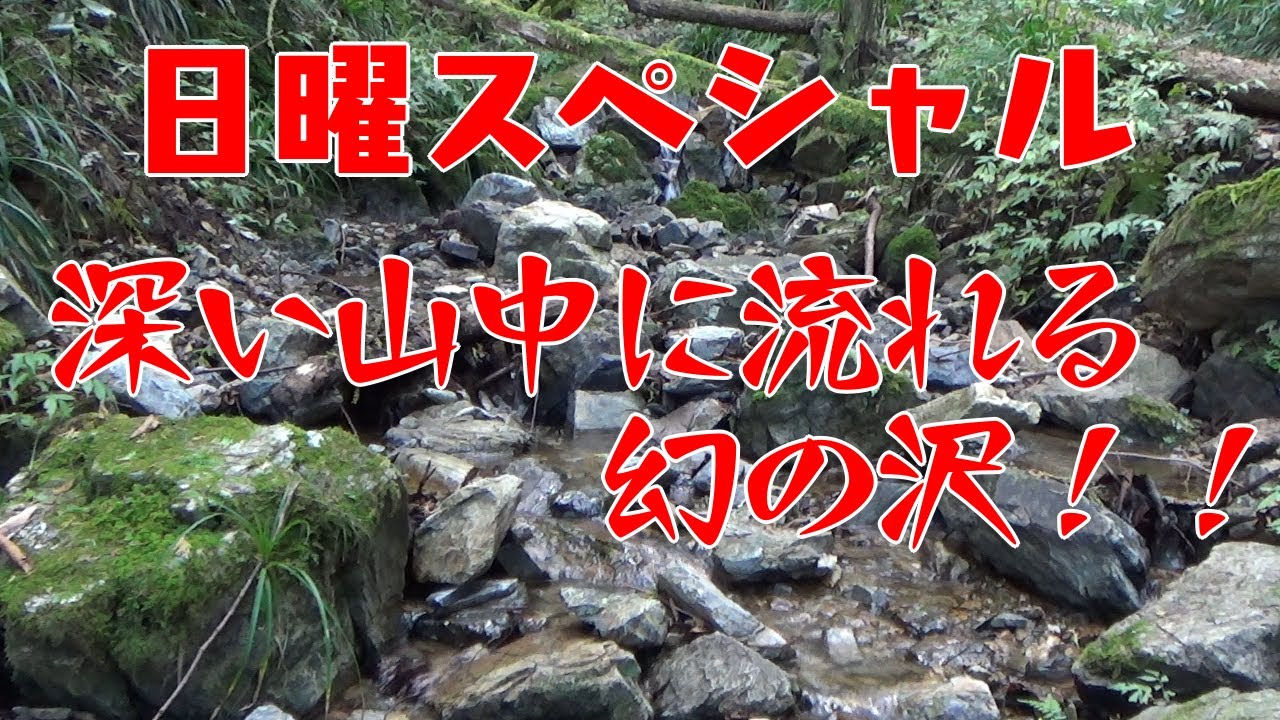 水の情景