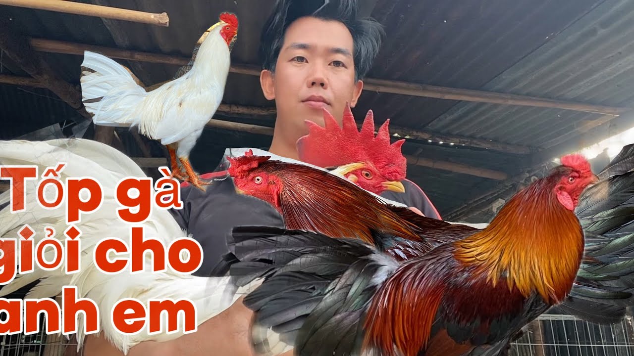 Tốp g.à đẹp cho anh xem tham khảo.lh .(0.3.9.2.9.4.9.4.1.2.)
