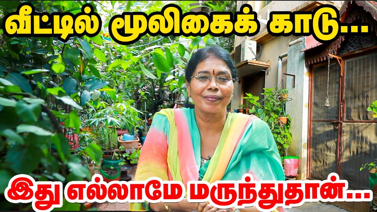 சென்னையில் இப்படி ஒரு வீடா? வீட்டைச் சுற்றி விதவிதமான மூலிகைகள் | Home Garden