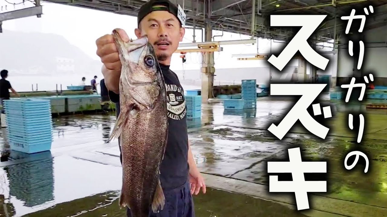 【予想外！？】痩せ細った魚を捌いて食べてみたら、まさかの味でびっくり！
