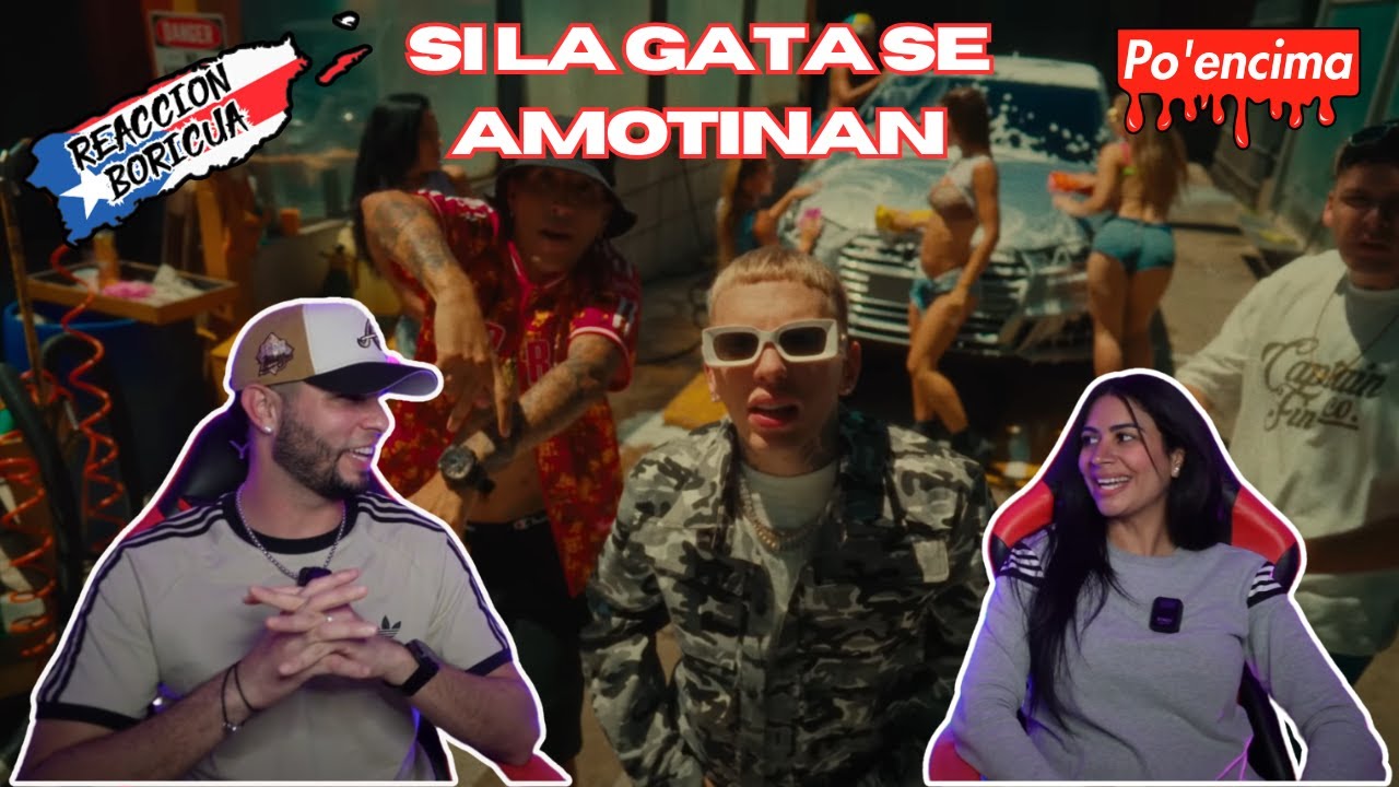 SI LA GATA SE AMOTINAN   Peipper, Doble p, Locura mix (Reaccion)
