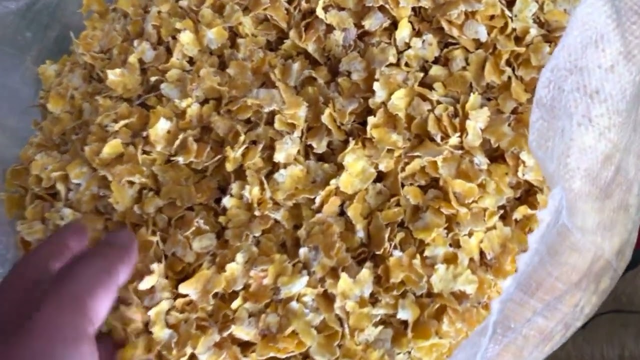 EREĞLİ YEM GOLD FLAKE (MISIR ARPA FLAKE)