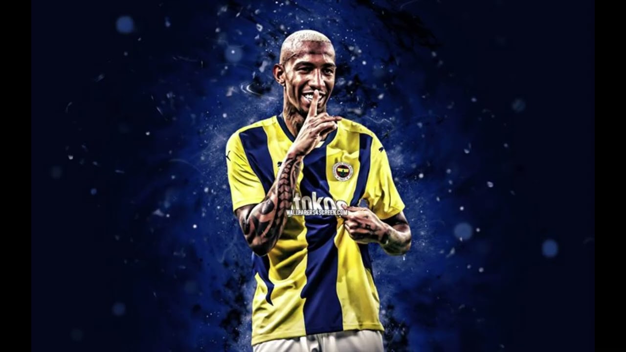 Sarı Lacivert Fenerbahçe 2026