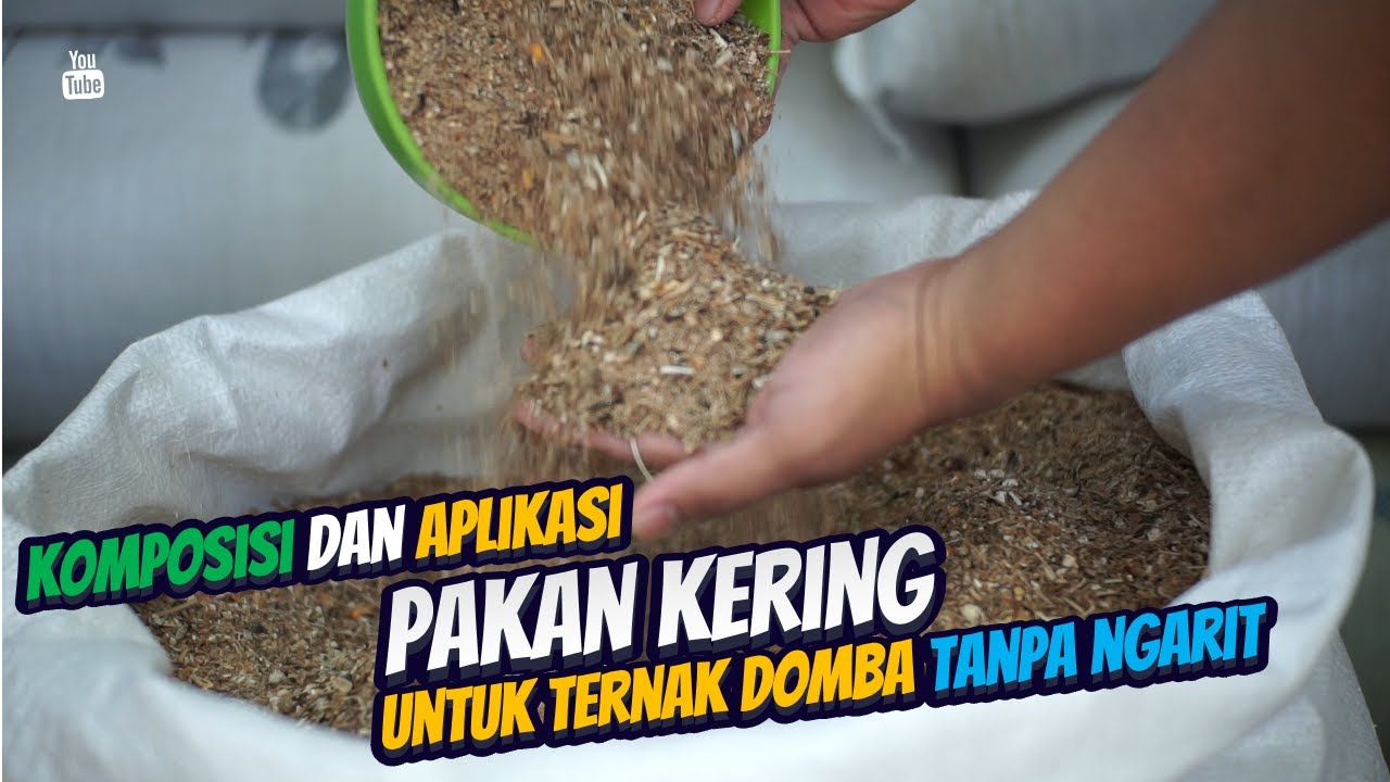 Komposisi dan Aplikasi Pakan Ternak Kambing Domba Modern Tanpa Angon Tanpa Ngarit