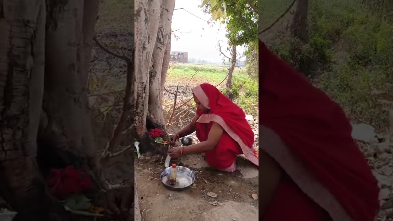 जय जय शनि देव 🙏 #bhakti #viral #video 