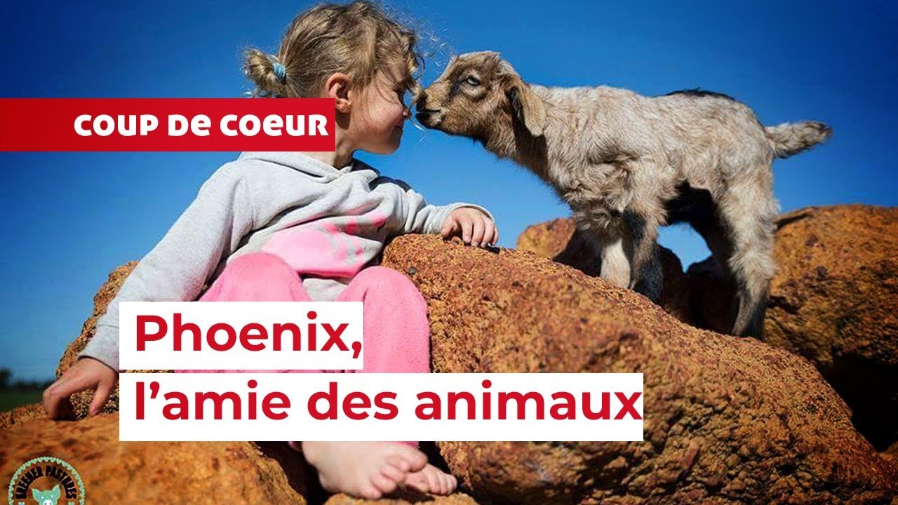 Coup de coeur pour cette fillette de 5 ans qui tient un refuge pour animaux