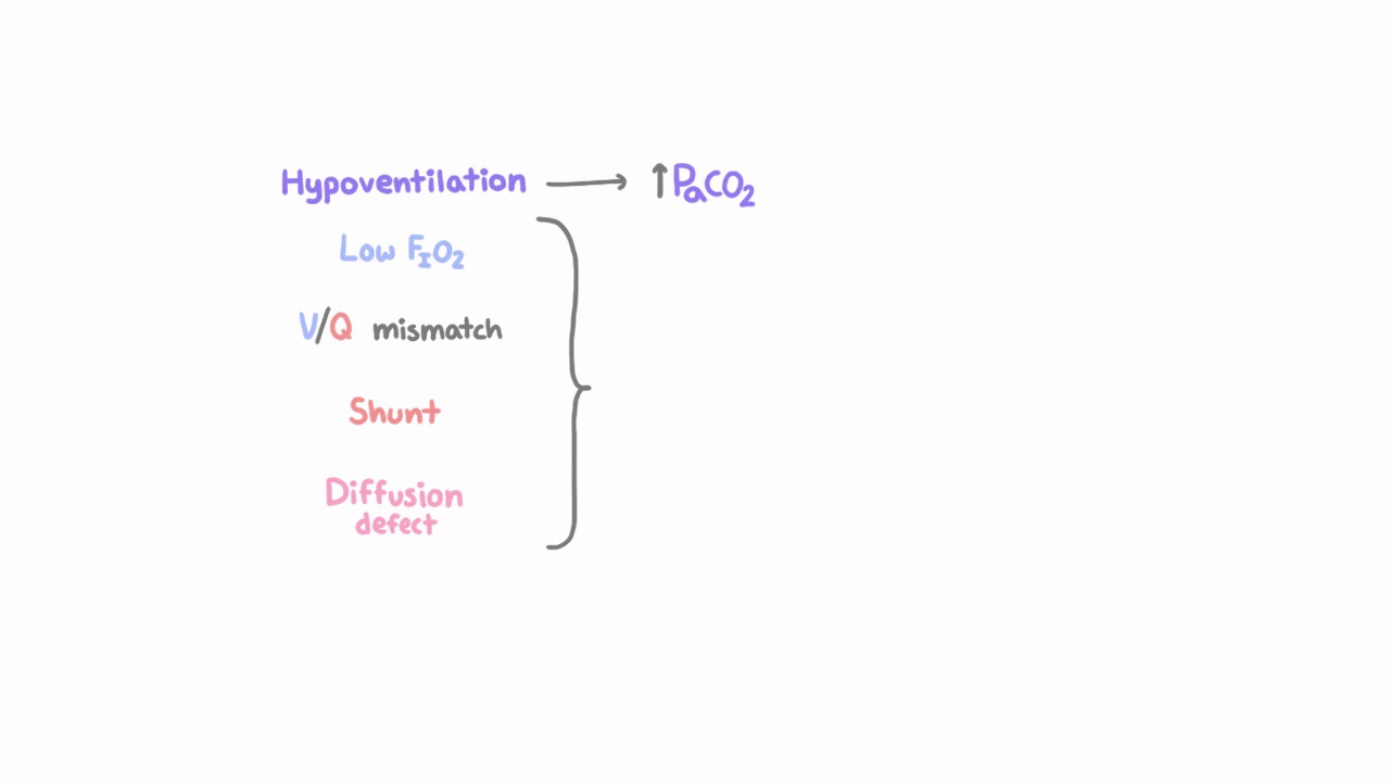 What happens to CO2 in hypoxemic respiratory failure?