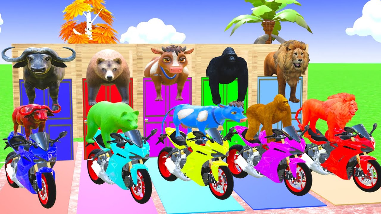 Long Slide Game with Cow Elephant Gorilla Hippopotamus Tiger  3D Animal Game Funny 3D Animals