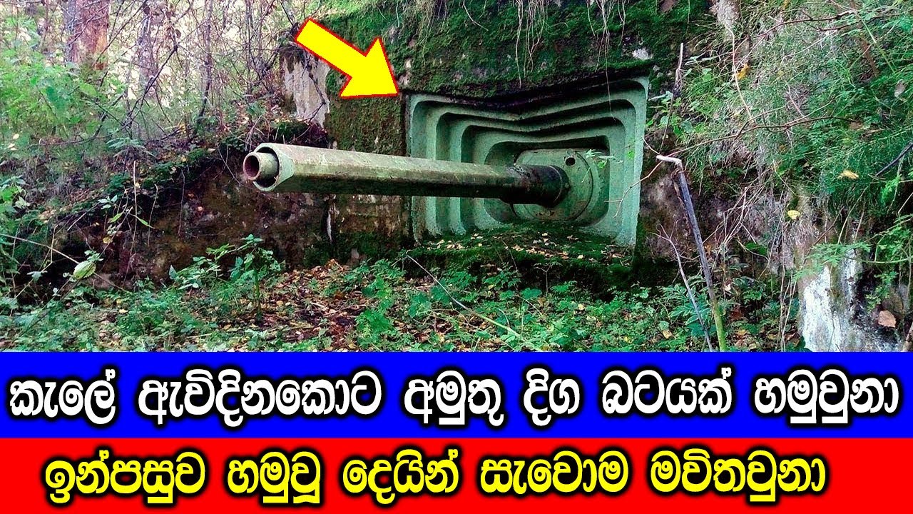 වනාන්තරයන් වලින් හමුවූ හිතාගන්නත් බැරි පුදුම හිතෙන දේවල්.