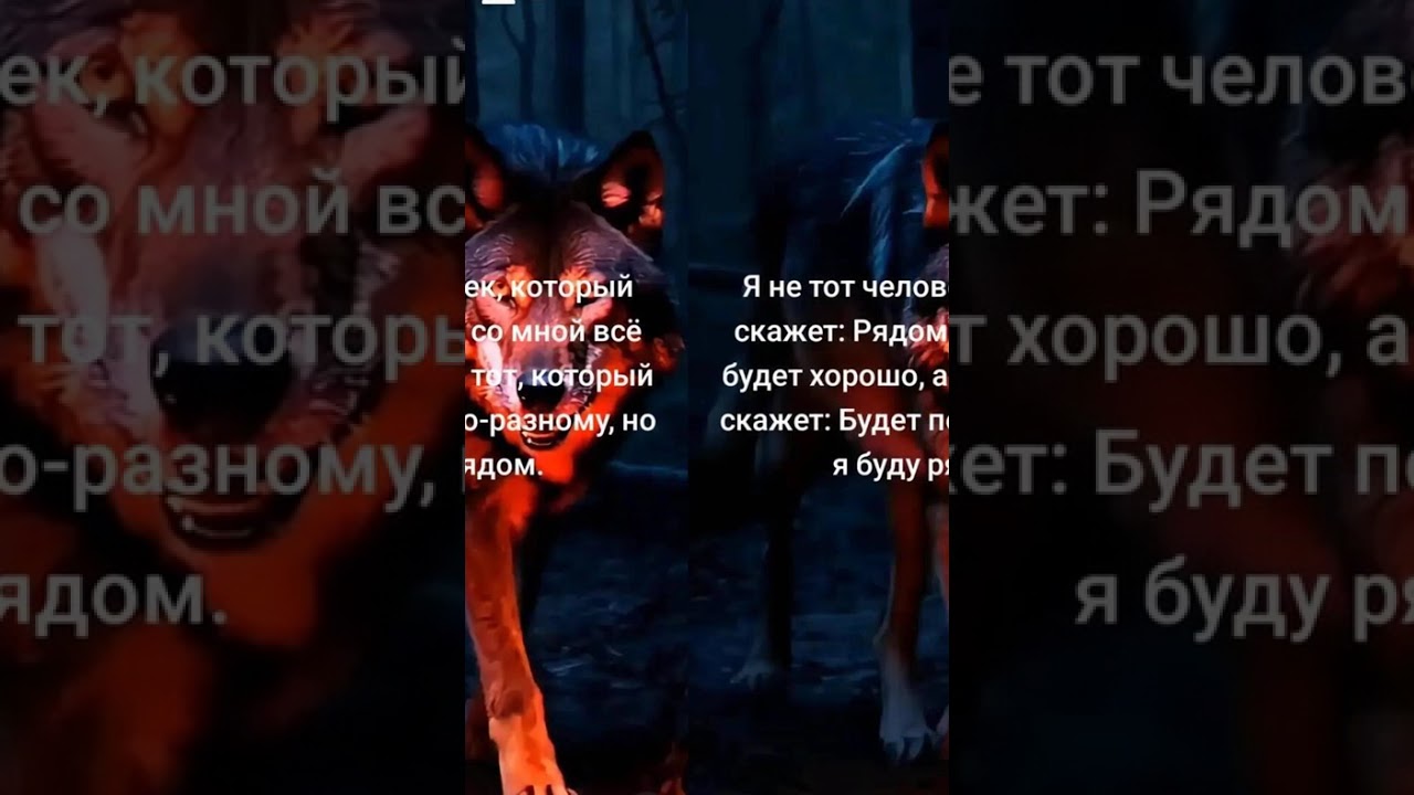 #рек #рекомендации #музыка #отчаянные #любовь #этожизнь #цитаты #цитатыпрожизнь #жизненно #цитата 