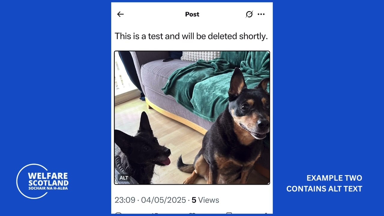 Social Media Accessibility - Screen Reader Alt Text Demo