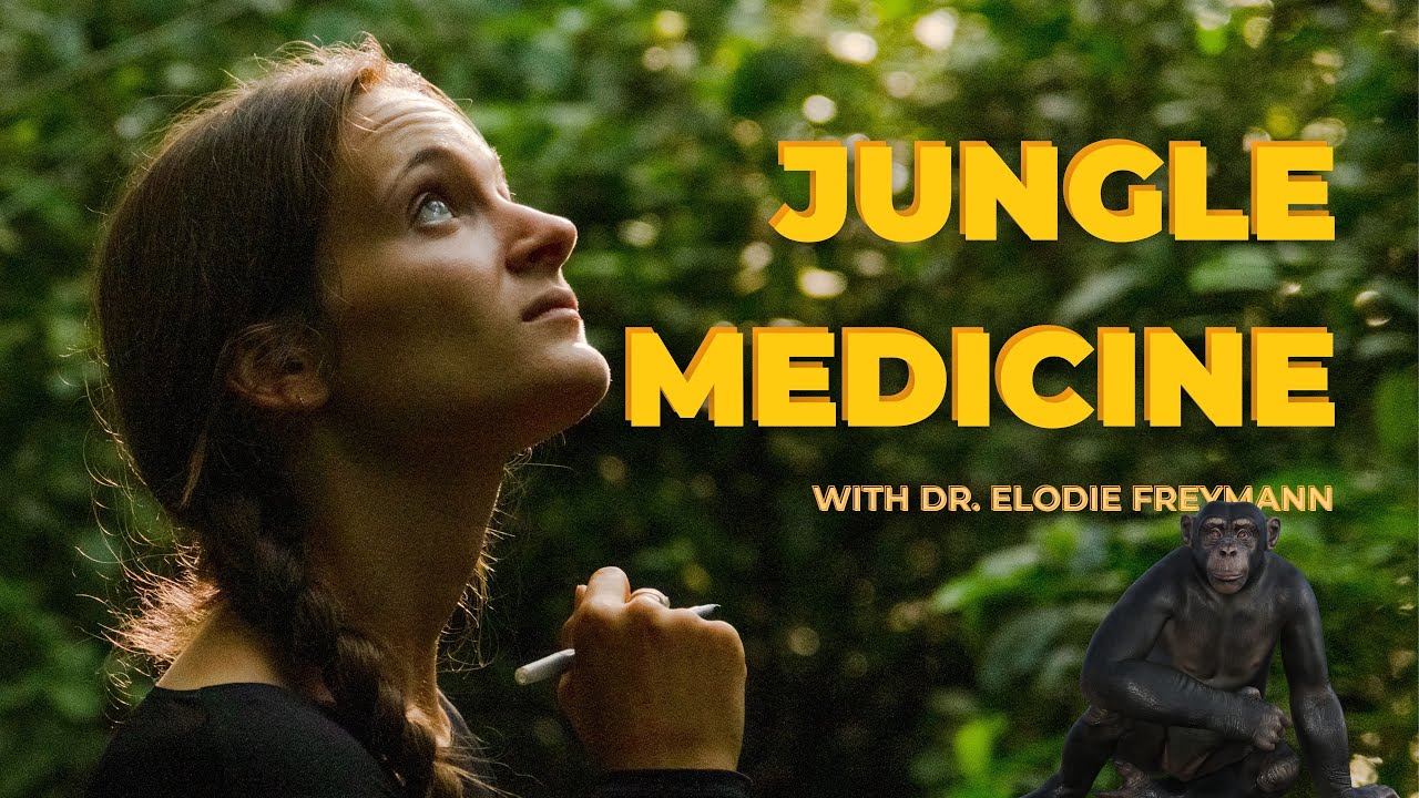 Trailer: Jungle Medicine — How Wild Chimpanzees Are Healing Themselves with Dr. Elodie Freymann