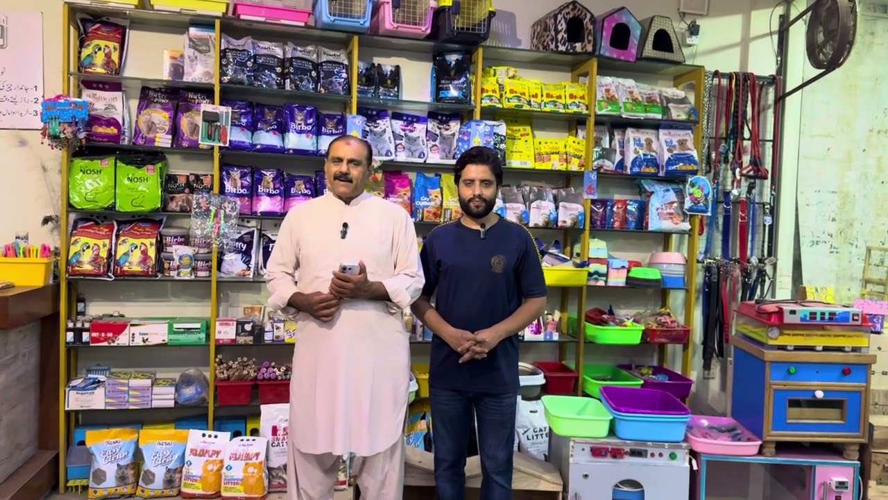 Multan Sunday Birds Market Rasheedabad 03 November 2024 | pakistan bird market video par 2