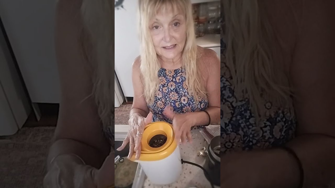 Bunya Nut Boiling & Coffee Roasting