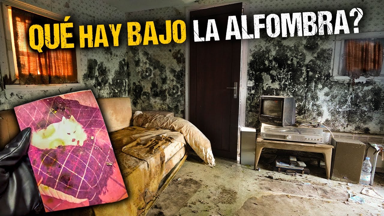 La Casa de IVONNE y Sus MASCOTAS OLVIDADAS | La Urna Funeraria y sus raíces. II