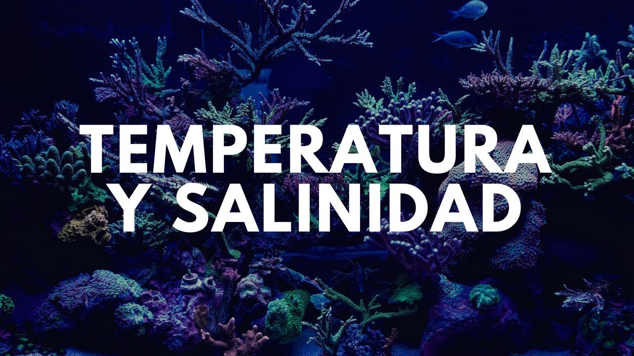 La Temperatura y la Salinidad en el Acuario Marino
