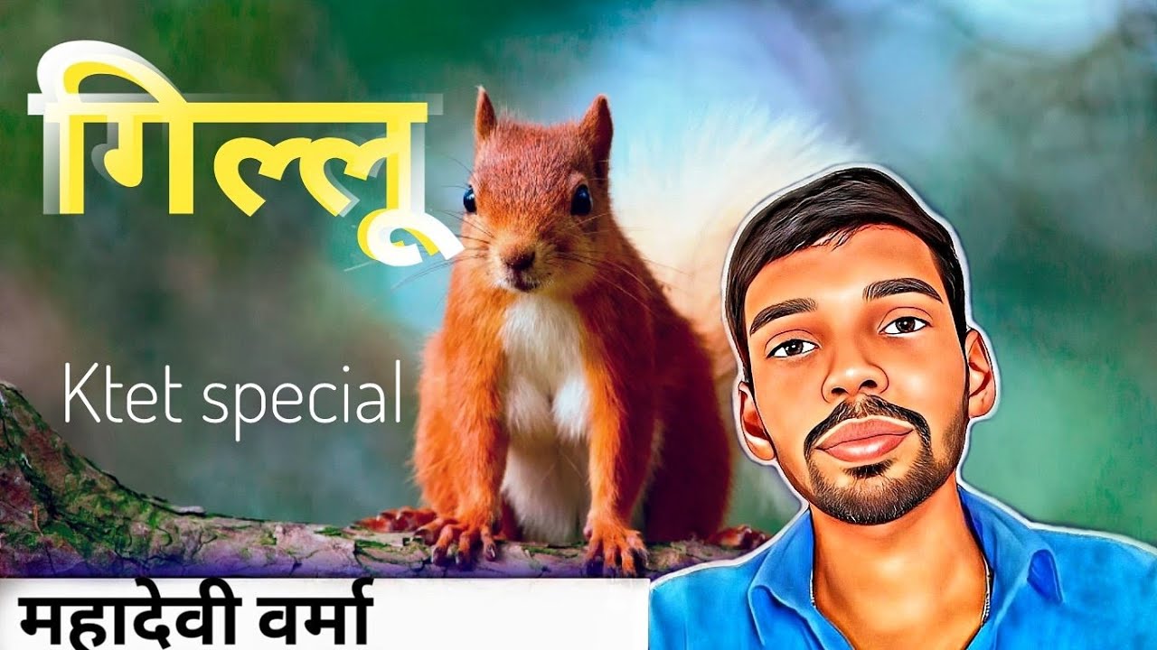 गिल्लू | रेखाचित्र ( महादेवी वर्मा ) | KTET category 4 Hindi | KTET category 3 Hindi | HSA Hindi