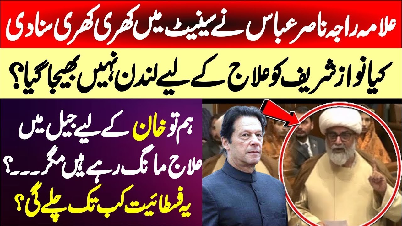 Allama Raja Nasar Abbas Powerful Speech in Senate Of Pakistan About Imran Khan