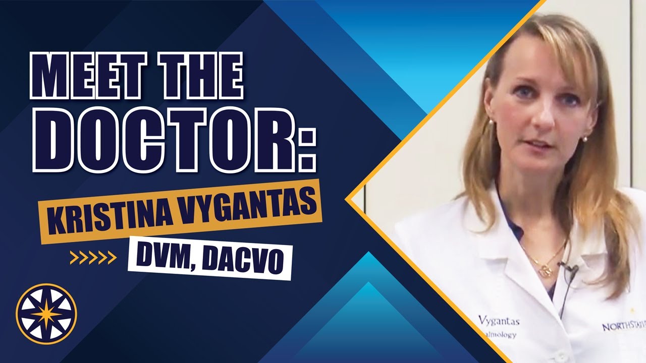 Meet the NorthStar VETS team: Kristina Vygantas, DVM, DACVO
