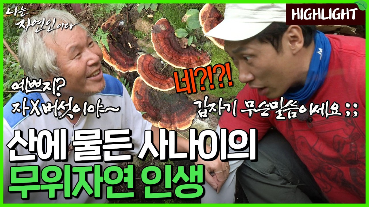 염소 3마리 출근시키고 닭 9마리 퇴근시키는, 산속 1인 기업 '최 사장'의 하루｜자연인 하이라이트 157회